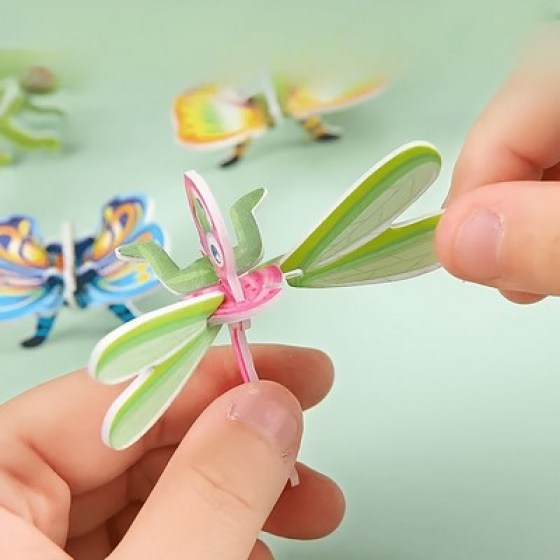 3D Puzzle - Kukci