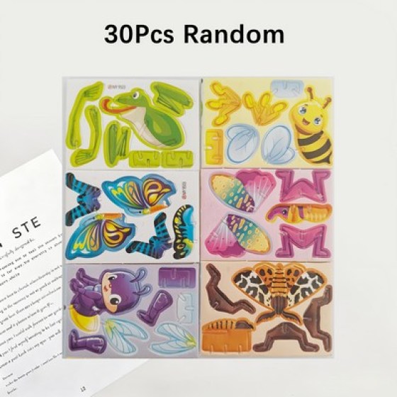 3D Puzzle - Kukci